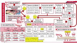 ATENCION DEL RECIEN NACIDO NEONATOLOGIA PARTE 1 ENAM [upl. by Miahc]