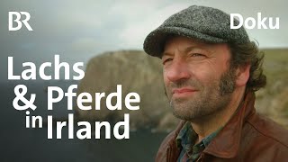 Abenteuer Irland Der Traum vom Angelglück  Teil 2  freizeit  Reportage  Doku  BR [upl. by Bayard]