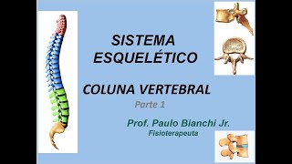 Coluna Vertebral  Parte 1  Divisões Curvaturas e Funções [upl. by Zenia]