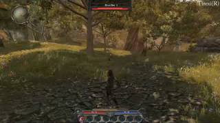 Divinity 2 Ego Draconis HD gameplay [upl. by Ollie]