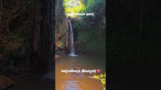 Apsarakonda falls  Honnavara  falls karnataka toursim onestatemanyworlds pride apsara [upl. by Bonita976]