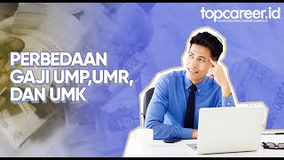 Perbedaan Gaji UMP UMR dan UMK [upl. by Gunas]