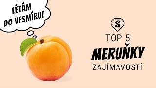 Proč meruňky létají do vesmíru  TOP 5 Zajímavostí o Meruňkách [upl. by Annawek]