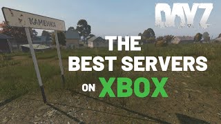 The only DayZ server guide youll probably ever need for PC  Best server for beginners [upl. by Falk]