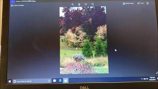 Windows 10 Photo Editor Quick amp Easy Tutorial [upl. by Worlock]