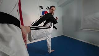 Mastering the Taekwondo Back Kick  Your Secret Weapon [upl. by Lebasy]