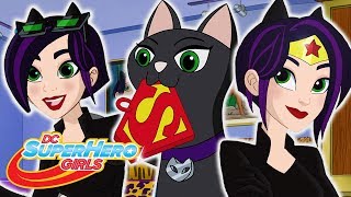 Melhores Episódios de MulherGato DC Super Hero Girls Brasil [upl. by Lechar921]