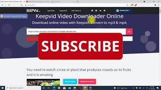 The Most Easiest Way To Download Any Video From Any Site With KeepVid You Tube Online Downloader [upl. by Noraf710]