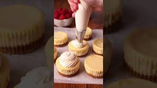 White Chocolate Mini Cheesecakes Recipe [upl. by Narda]