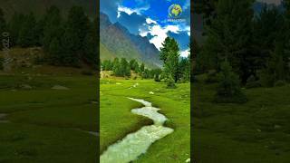 travel nature adventure explore shorts trending reels [upl. by Kcir]