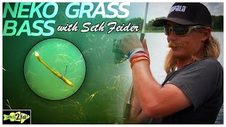 Seth Feiders Tips for Neko Rigging Summertime Bass [upl. by Lucias128]