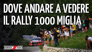 GUIDA alle PROVE del RALLY 1000 MIGLIA 2023 [upl. by Dranyar]