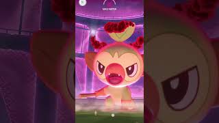 Dynamax Raid of Grookey in Pokemon GO [upl. by Llebpmac]