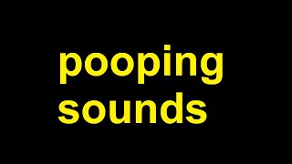 pooping Sound Effects all sounds [upl. by Ahsiekit396]