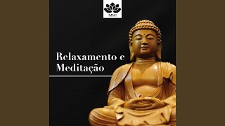 Música Relaxante para Massagens [upl. by Tnomyar]