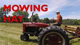 Farmall M mowing hay [upl. by Ntisuj]