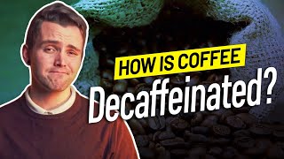 How is Coffee Decaffeinated [upl. by Mikes]