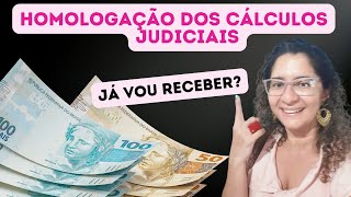 HOMOLOGAÇÃO DE CALCULOS JUDICIAIS [upl. by Oinota]