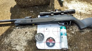 Review de rifle Gamo Black Bear IGT cal 55 en español [upl. by Castro593]