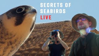 Live with Bird Experts What You Don’t Know About Seabirds [upl. by Assirroc]