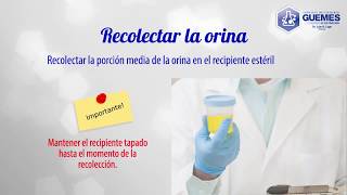 instrucciones para recolectar una muestra de Urocultivo [upl. by Ltsyrk]