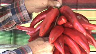 DIY Red Chile Ristra Demo in Mesilla New Mexico [upl. by Rekoob964]