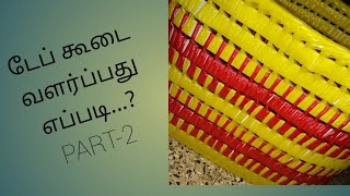 Tape koodai valarpathu yepdi டேப் கூடை மேலே வளர்ப்பது எப்படி [upl. by Ecnaiva]