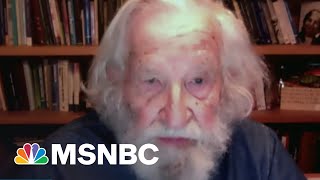 Legendary Activist Noam Chomsky On Biden’s Presidency And The Modern GOP  MSNBC [upl. by Florina]