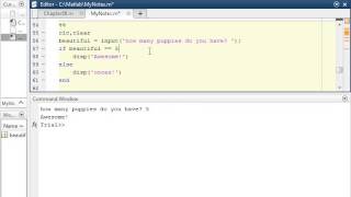 If Else and Elseif Matlab Statements [upl. by Towers]