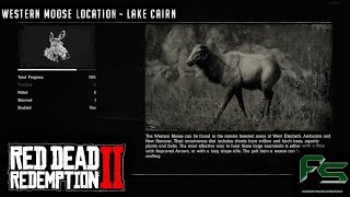 Red Dead Redemption 2  Western Moose Location [upl. by Annaek623]