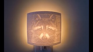 How to 3d print a lithophane nightlight [upl. by Durkin]