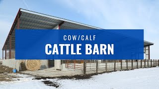 CowCalf Cattle Barn [upl. by Remsen]