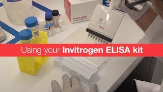 Using your Invitrogen ELISA kit [upl. by Farron810]