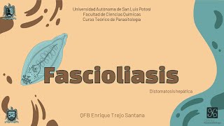 Fascioliasis [upl. by Aloivaf210]