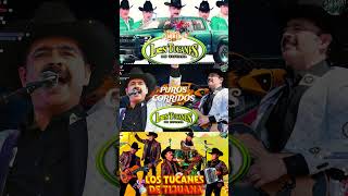 Corridos A Quema Ropa – Los Tucanes De Tijuana Album Completo [upl. by Ciprian]