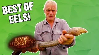 The Best of EELS  COMPILATION  River Monsters [upl. by Dee]