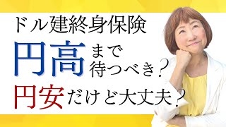 ドル建て一時払い終身保険の予定利率と為替の関係【外資系金融20年のあちゃみんの円安・物価高時代の生き抜き戦略】＃ドル建終身保険 ＃ハッピーマネーアカデミー [upl. by Fi]