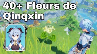 40 FLEURS de QINGXIN facilement pour monter Ganyu Guide Genshin Impact FR [upl. by Amadeus194]