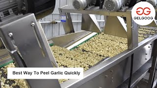 Garlic Peeling Grading Packing Production Line Garlic Peeler Machine [upl. by Roselia]