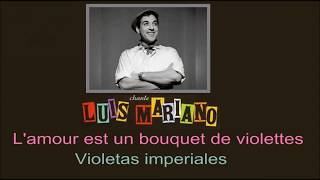 Karaoke Luis Mariano  Violetas Imperiales Lamour est un bouquet de violettes [upl. by Keisling]