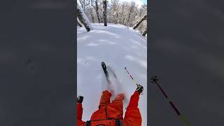 Happy Cruiser 🚢 Patagonia Lenga Tree Skiing Yesterday 😄🌳❄️ [upl. by Lyndell]