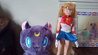 SAILOR MOON AND LUNA WENT TO GetGo Burger King AND Walmart [upl. by Etteiluj14]