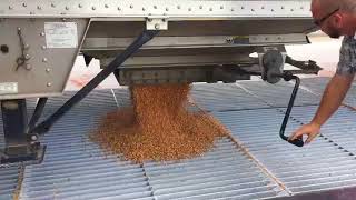 Grain Dump Pit  Unload a Semi in 1 minute [upl. by Aneis779]