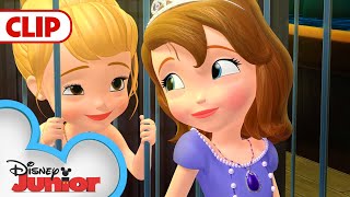 Mermaid Rescue  Sofia The First  disneyjr [upl. by Carew]