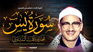 تلاوة تأخدك لعالم من الهدوء والسكينه وراحة البال  سورة يس  محمد صديق المنشاوى [upl. by Oderfliw]