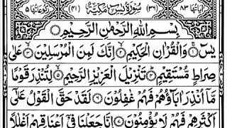 SURAH YASEEN  YASIN SHARIF  SURAH YASIN  WITHOUT ADS  NO ADS [upl. by Htebyram600]