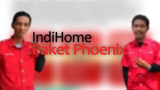 Paket Phoenix  IndiHome [upl. by Elsey]