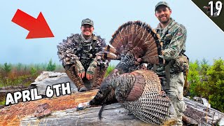 Turkey Tour Day 19  LOUISIANA Turkey Hunting Public Land Opening Day [upl. by Sulohcin648]