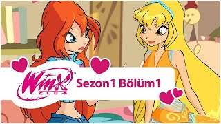 Winx Club  1Sezon 1Bölüm  Beklenmedik Bir Olay TAM BÖLÜM [upl. by Galloway329]