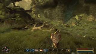 Gothic 3 Forsaken Gods  HD  Walkthrough  nr5  Barbabas has not paid Anton [upl. by Gordie]